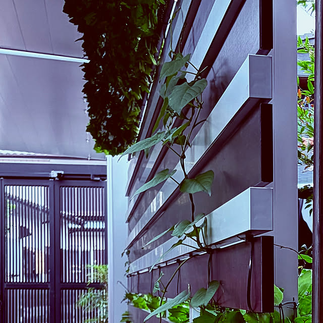chacoさんの部屋