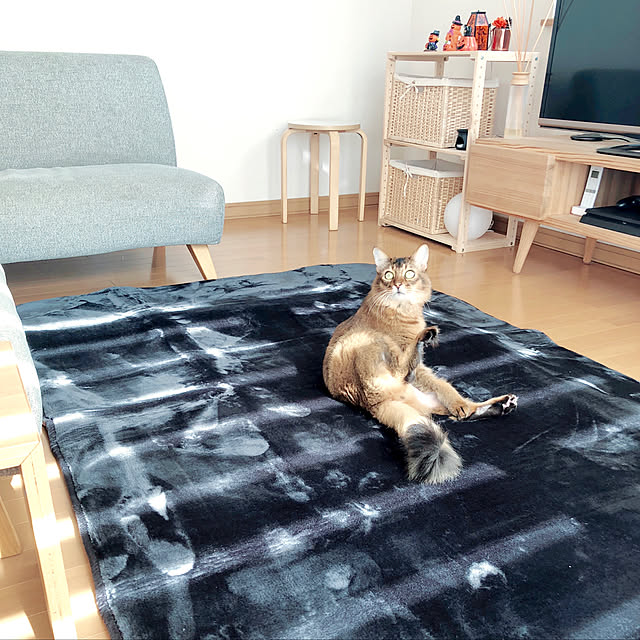 Yumiさんの実例写真