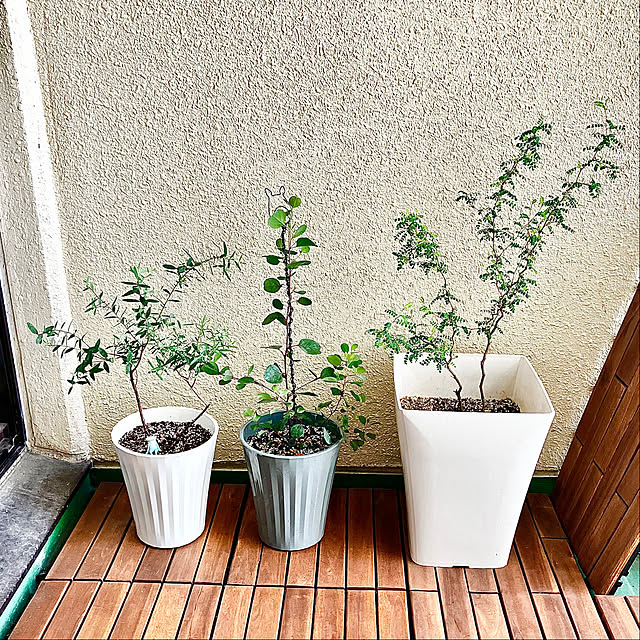 kagomamaさんの実例写真