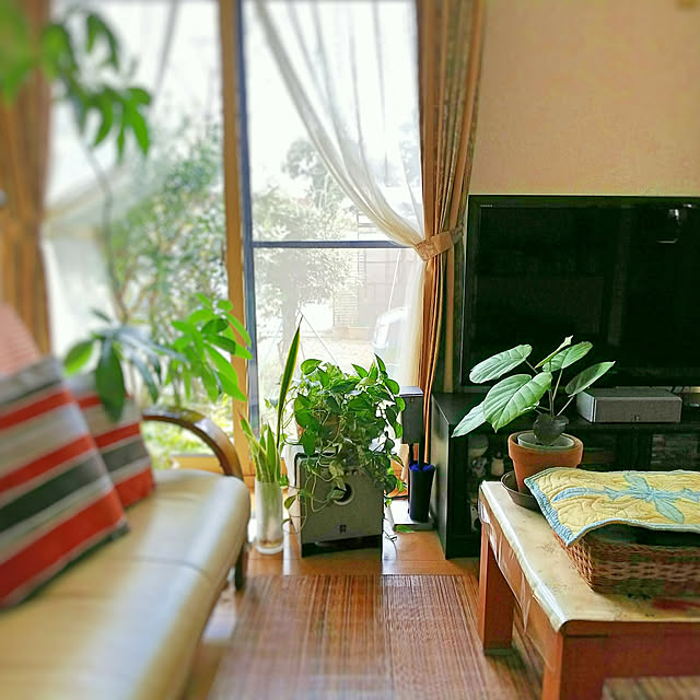 milkann_さんの実例写真