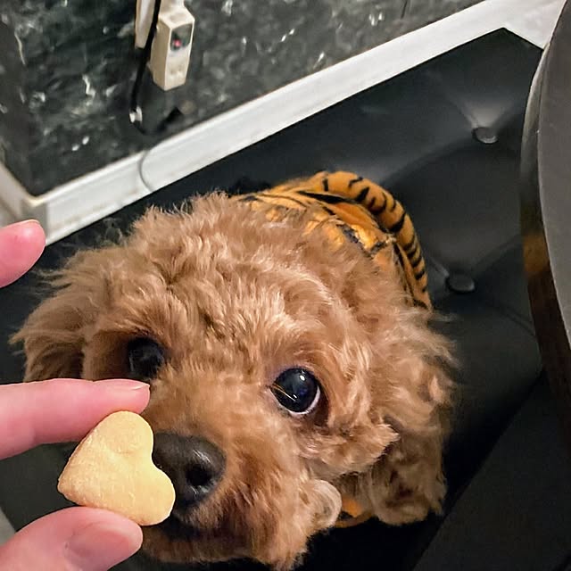 MOMOMAMAさんの部屋