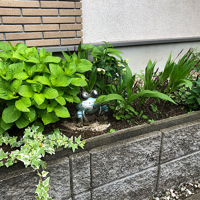 gappeさんの実例写真