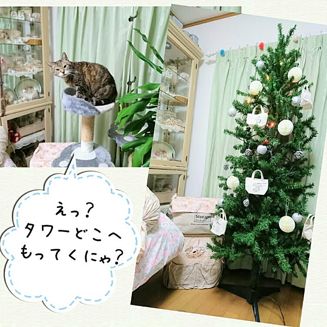 Ayuさんの実例写真