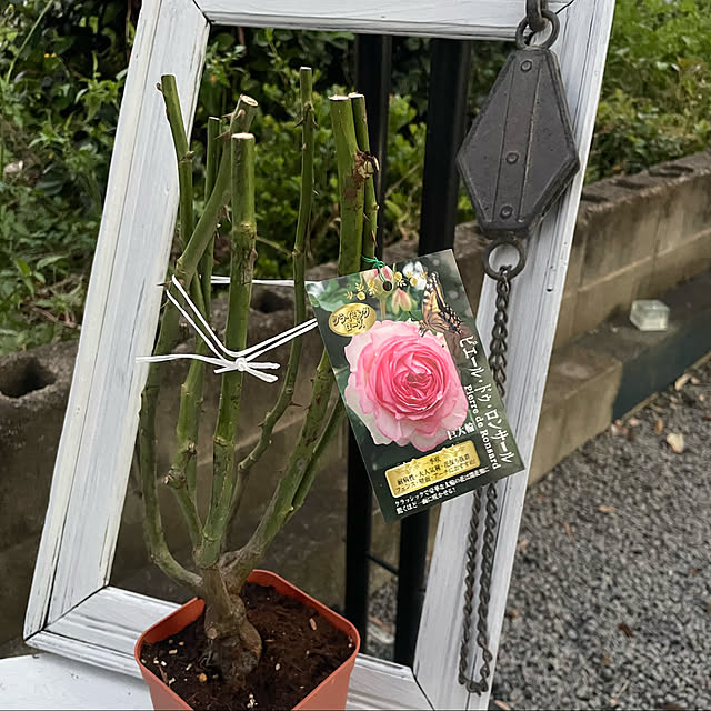 mayumiさんの実例写真
