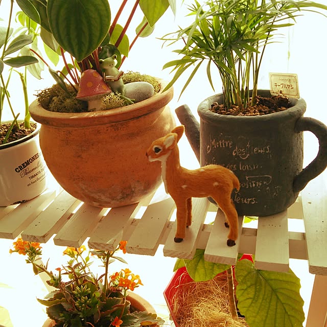 teamoさんの実例写真