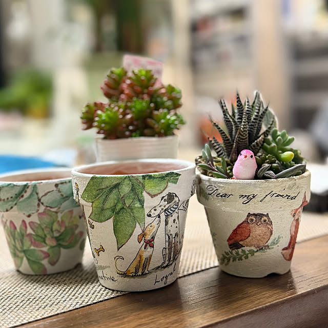 Aqettyさんの部屋