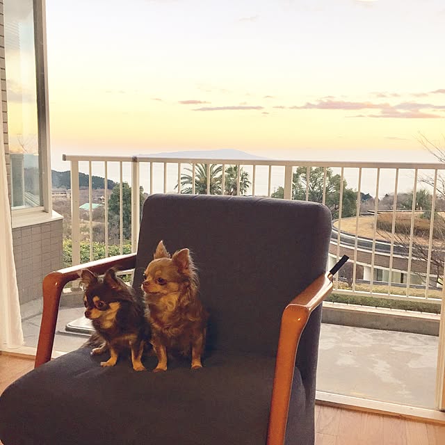 yumiさんの実例写真