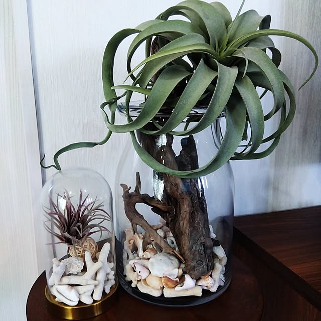 leeさんの実例写真