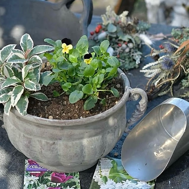 Royal_Gardeners_Clubさんの実例写真