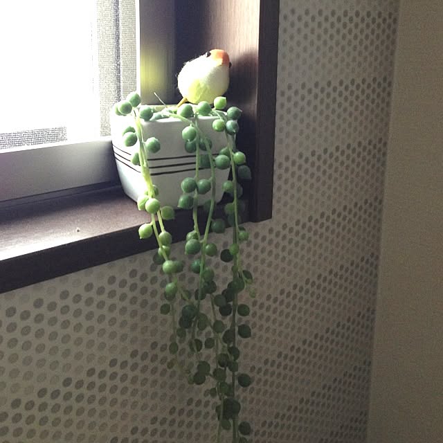 tomさんの実例写真