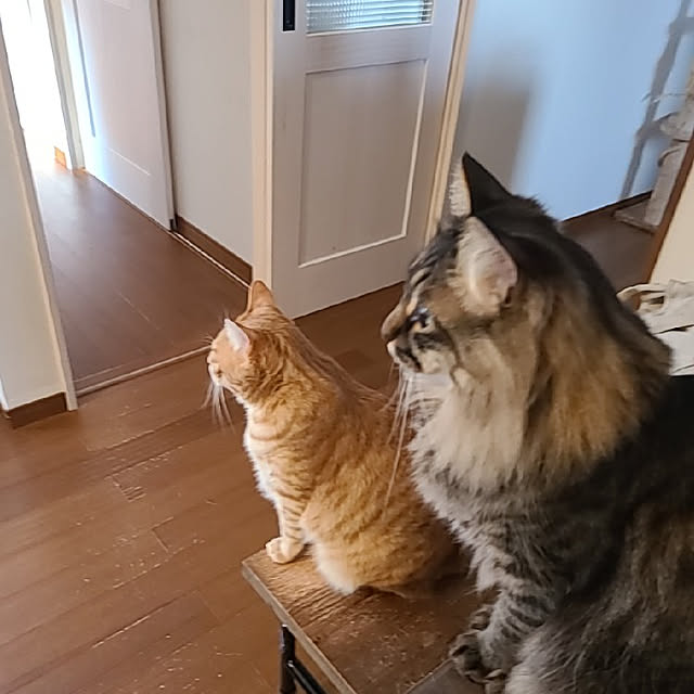 C.Tさんの実例写真