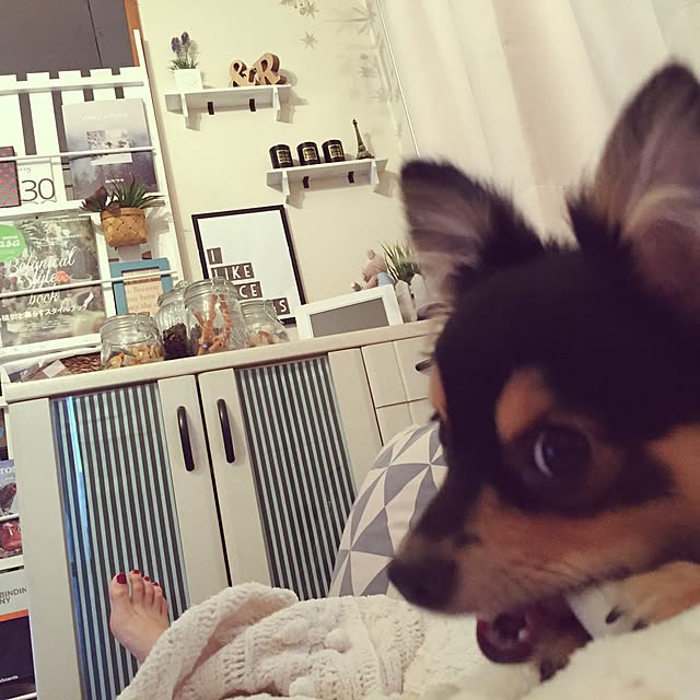 shocopyさんの実例写真