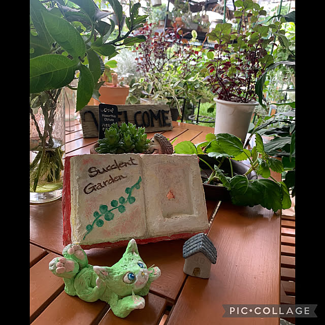 Aqettyさんの部屋