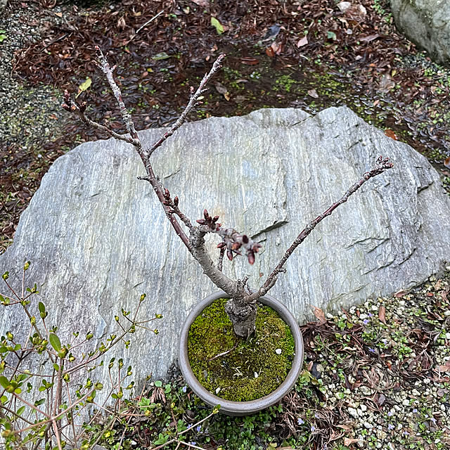 shin0719さんの部屋