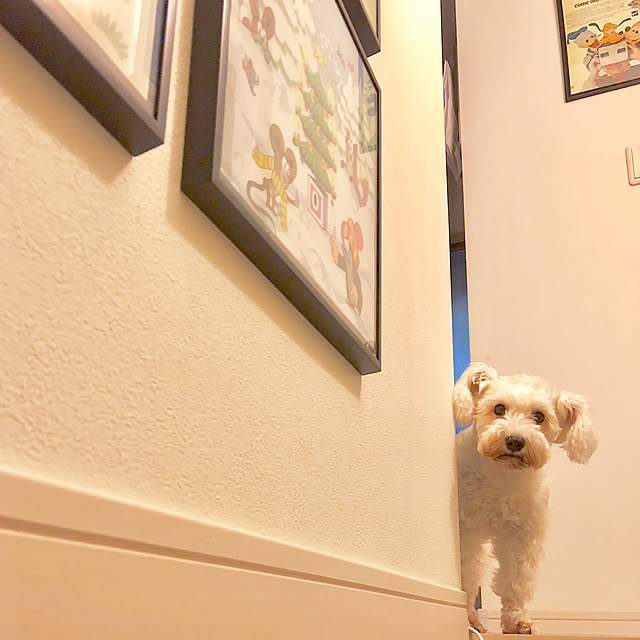 suzyさんの実例写真