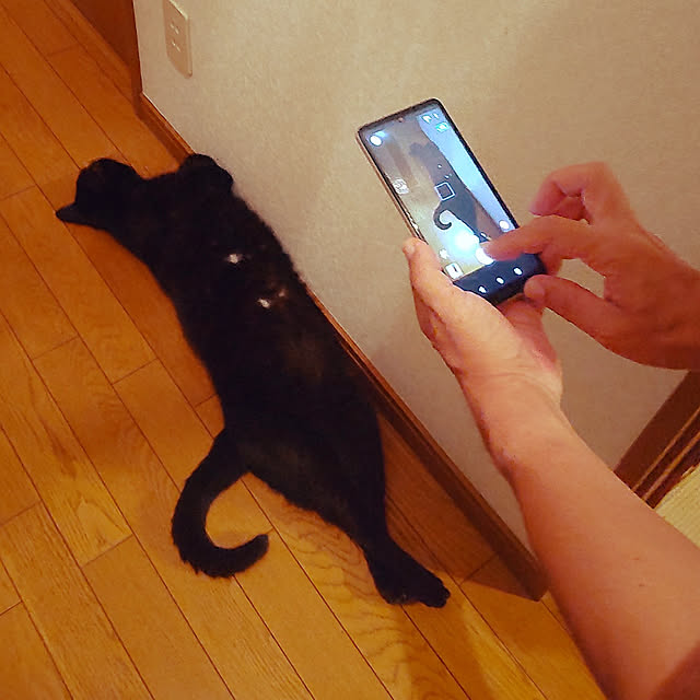 pipiさんの実例写真