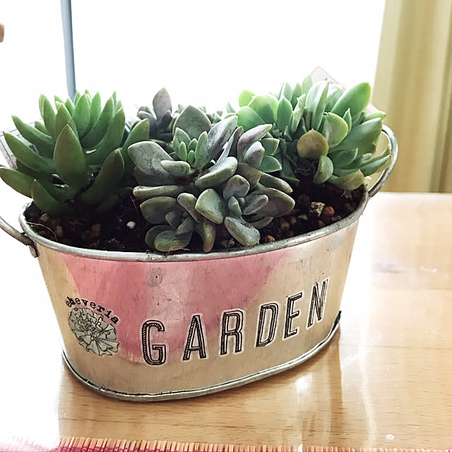 pakilaさんの実例写真