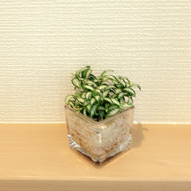 棚/無印良品のインテリア実例 - 2018-12-23 09:35:04