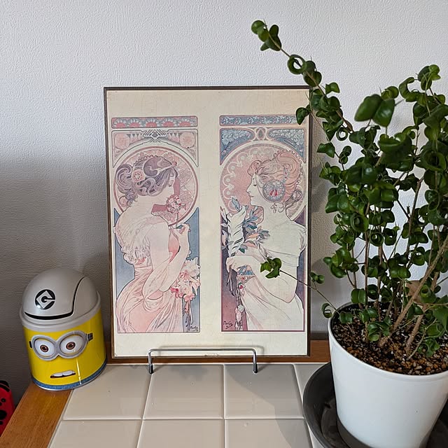 mi-saさんの部屋