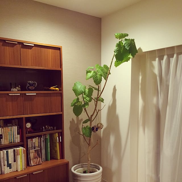 mayoさんの実例写真
