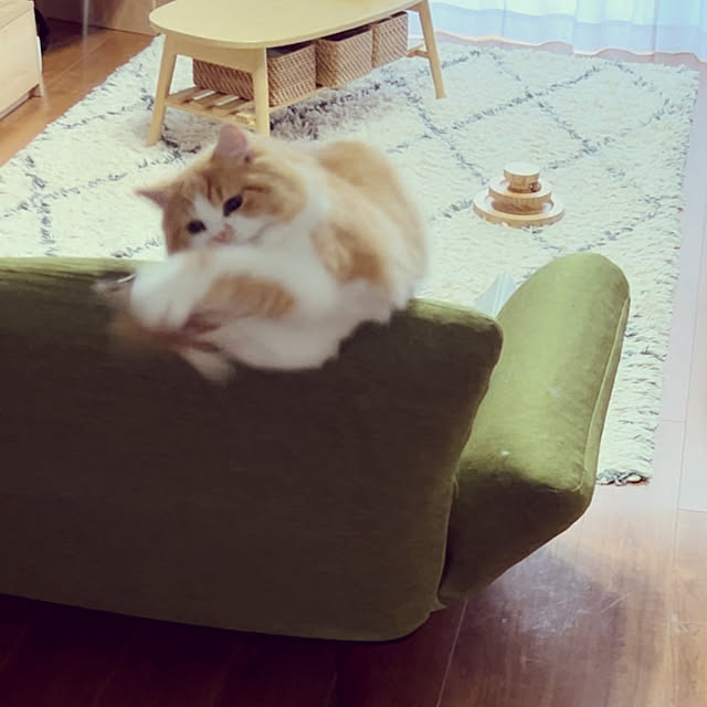 junさんの部屋