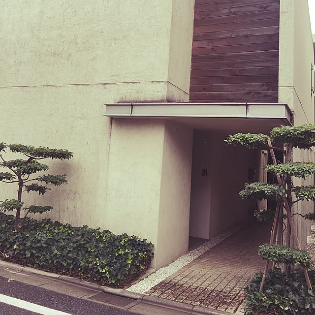 実例写真