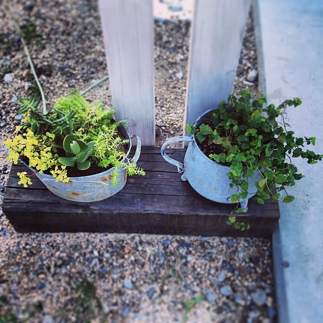 Takuさんの実例写真