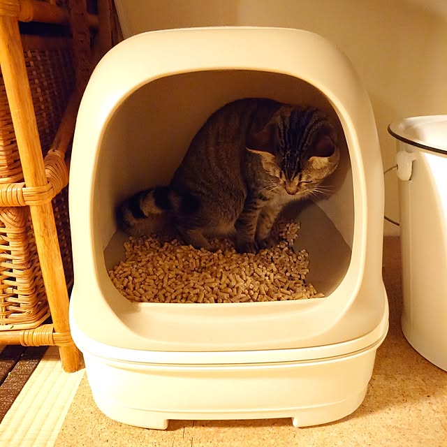 ...niko...さんの実例写真