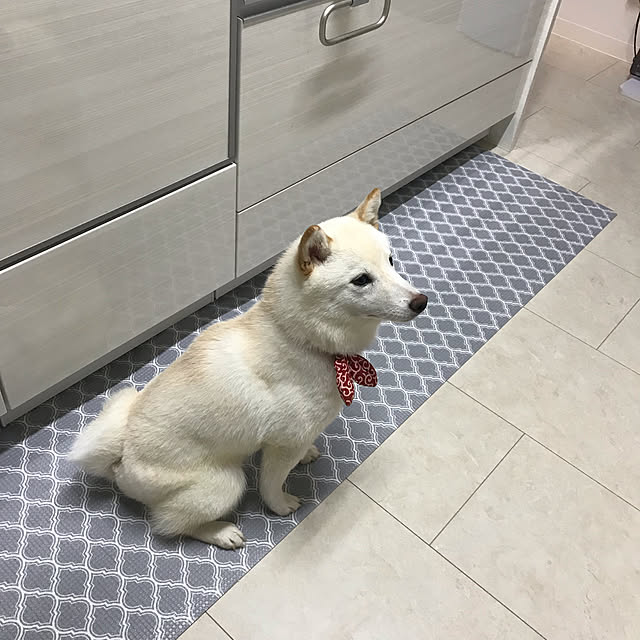 Nicoleさんの実例写真