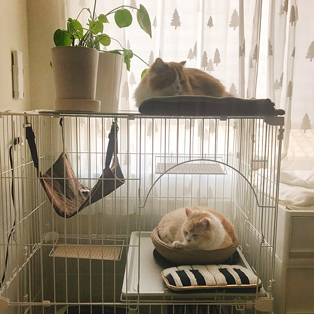 H.Tさんの実例写真