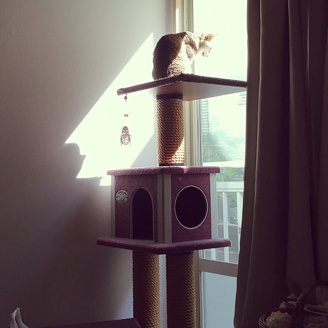 miikoさんの実例写真