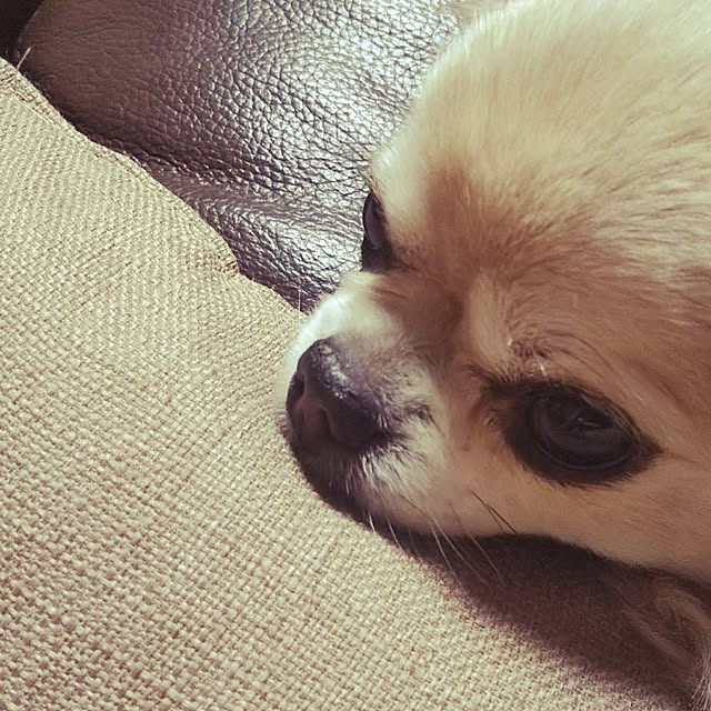 kiraさんの実例写真