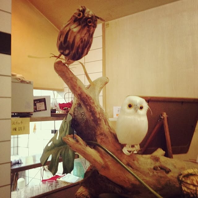 omayuさんの実例写真