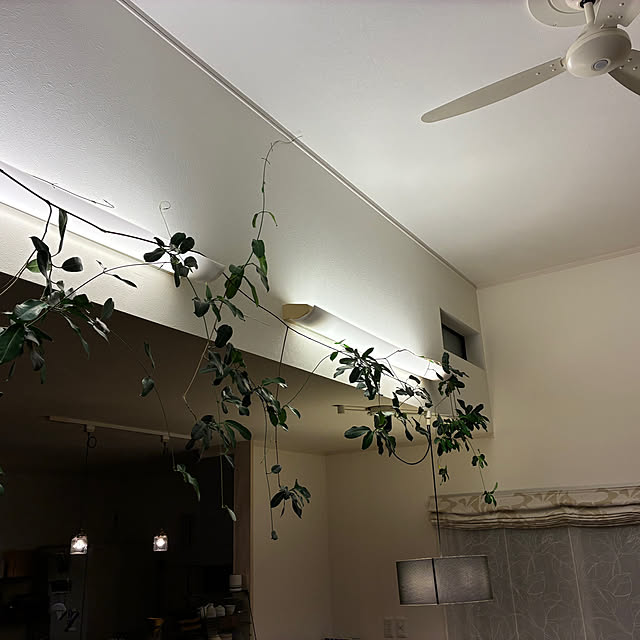 Hisashiさんの部屋