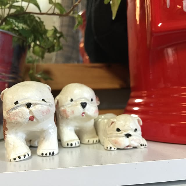 k55さんの実例写真