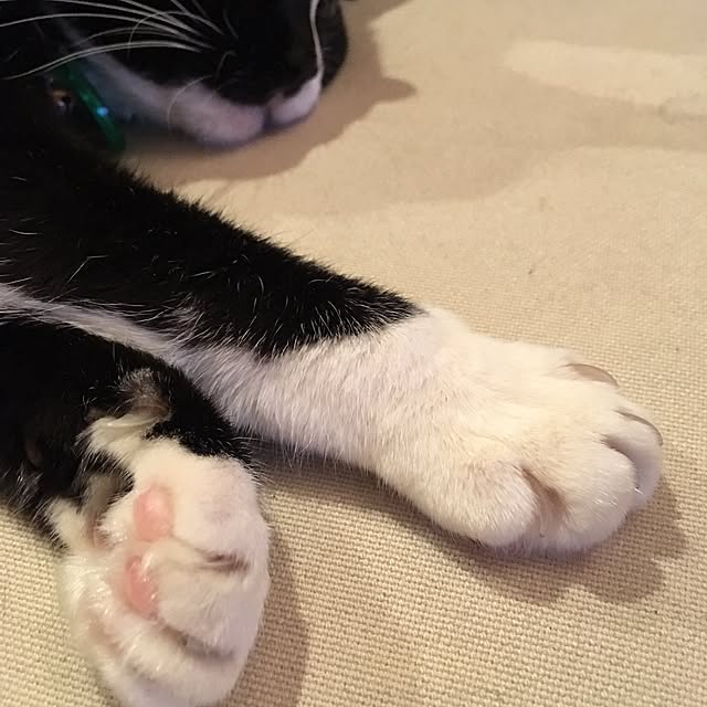 buchikoさんの実例写真