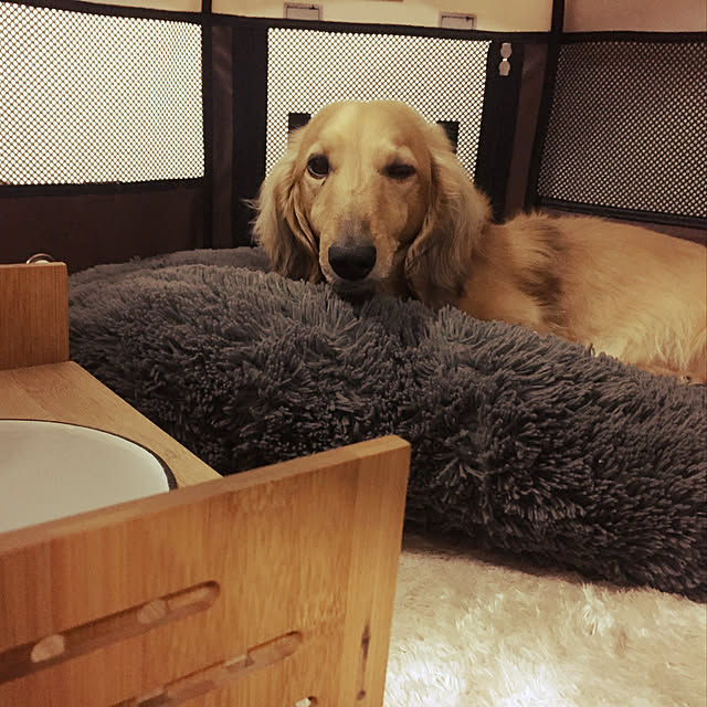 Tomo...NSR...さんの実例写真