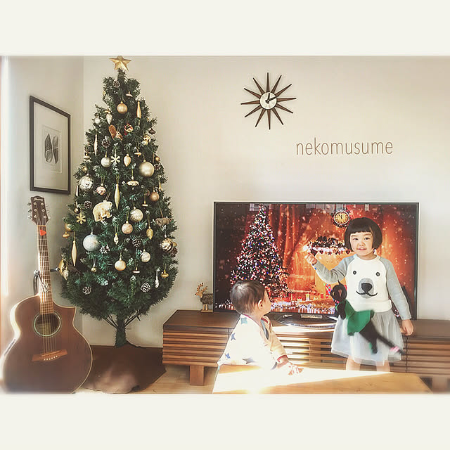 nekomusumeさんの実例写真