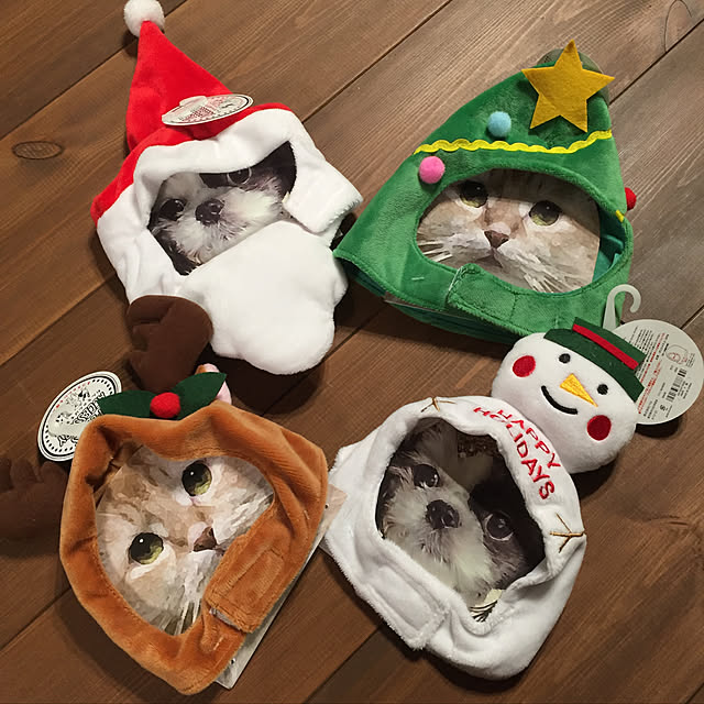 natsumama6566さんの実例写真