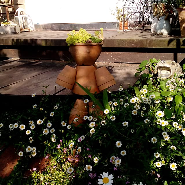 shusen.miyaさんの実例写真