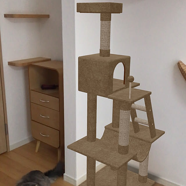 nukooさんの部屋