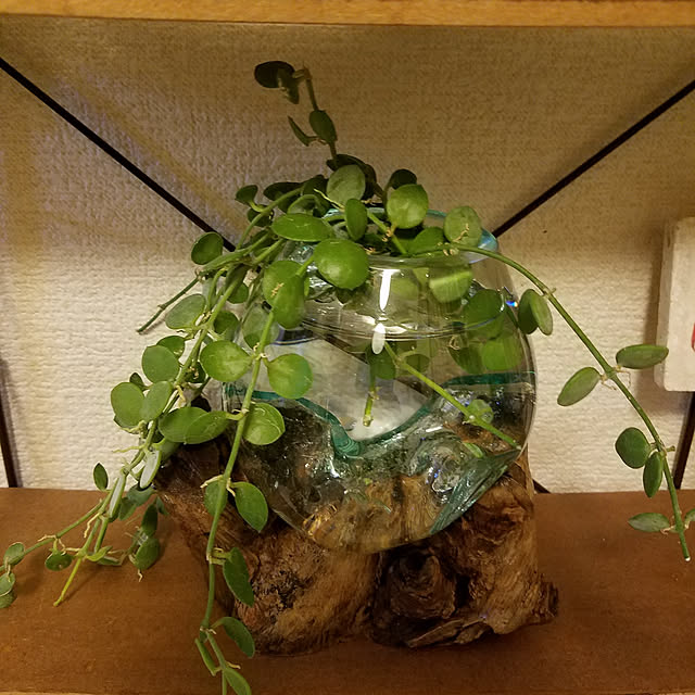 Umeさんの実例写真