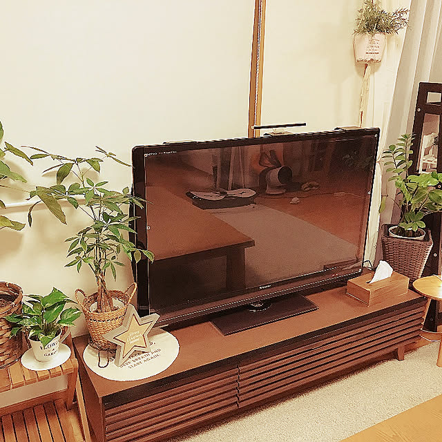 観葉植物/ニトリ/無印良品/リビングのインテリア実例 - 2020-09-25 20:40:33
