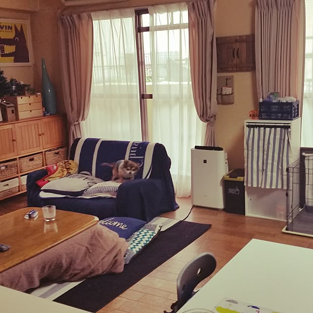 部屋全体のインテリア実例 - 2016-12-16 08:18:21