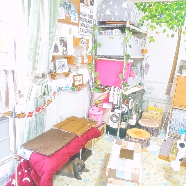 mariaさんの実例写真