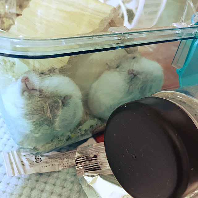Ayakoさんの実例写真