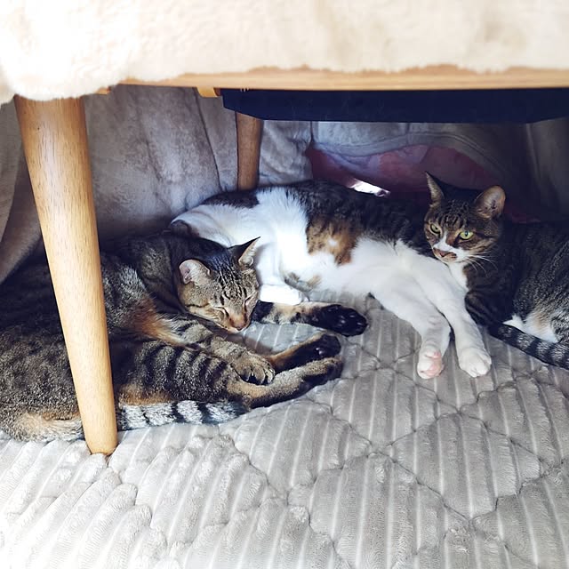 nachiさんの部屋