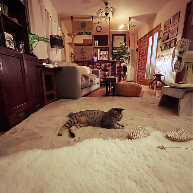 Mさんの実例写真