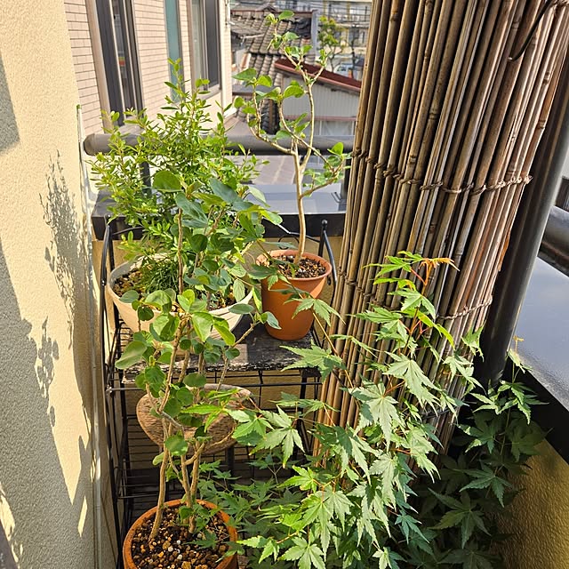 mitsuyama3136さんの部屋
