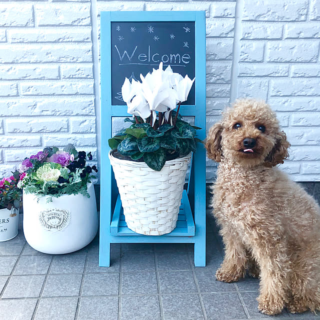 blueberryさんの実例写真